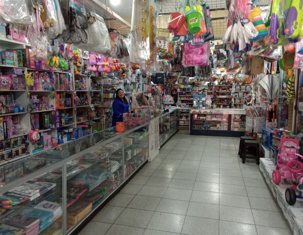 LIB_EXITO (2)