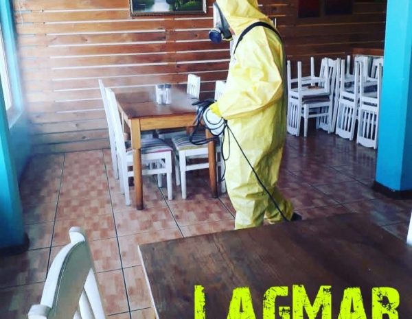 Lagmar_Serv (3)