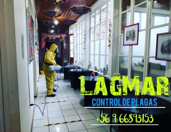 Lagmar_Serv (5)