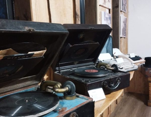 MUSEO MADERA (5)