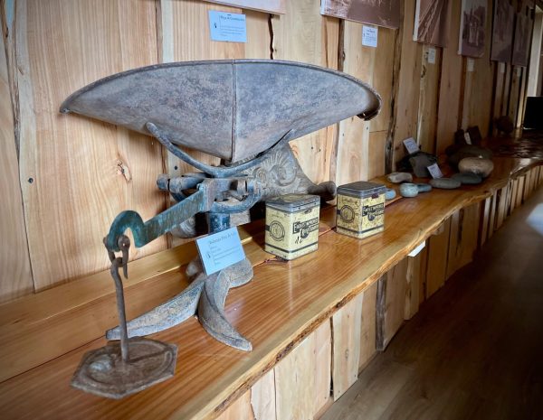 MUSEO MADERA (6)