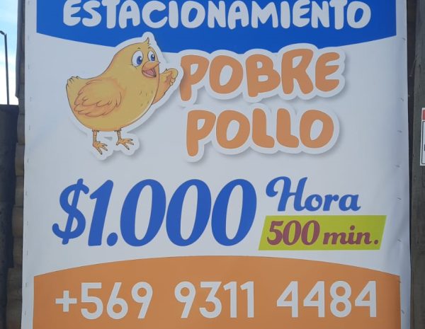 POBRE POLLO (2)