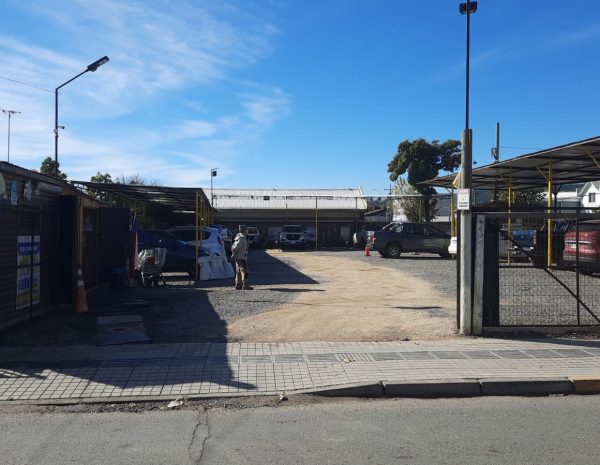 POBRE POLLO (3)