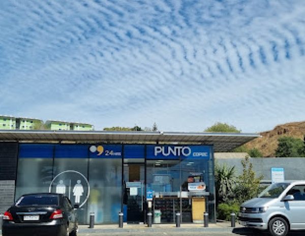 PUNTO_COPEC (1)