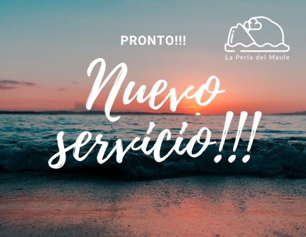 RELLENO NUEVO SERVICIO