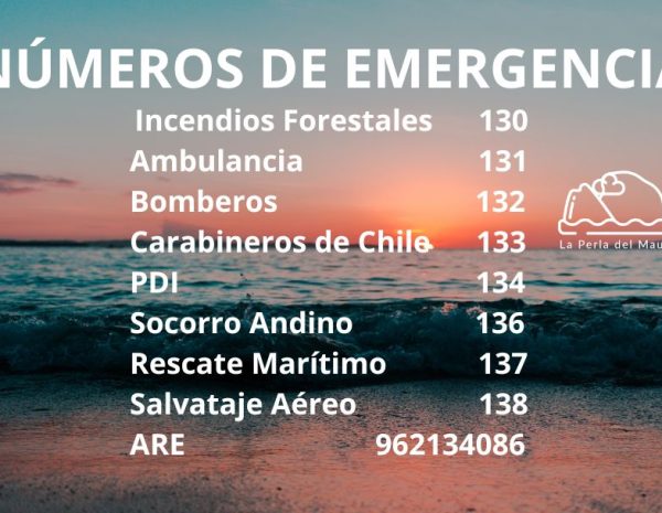Rellenos - SECCION - COMERCIO Y SERVICIOS