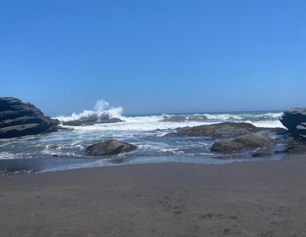 Rocas_de_pellines_4