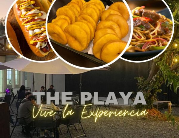 The Playa (3)