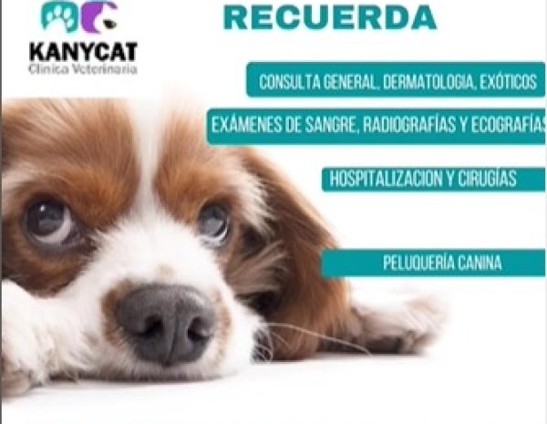 Veterinaria_ (2)